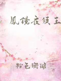 凤镜夜须王环