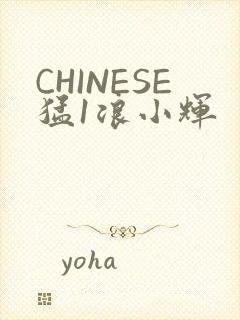 CHINESE猛1浪小辉