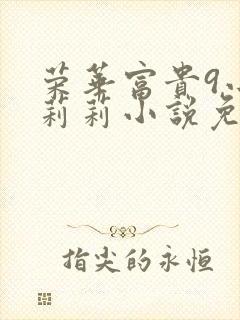 荣华富贵9小王莉莉小说免费阅读