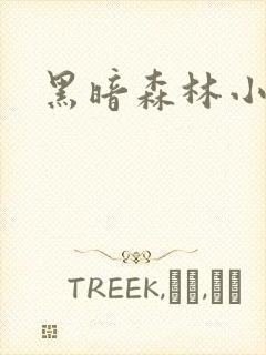 黑暗森林小说