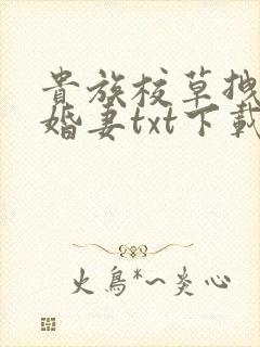贵族校草拽拽未婚妻txt下载