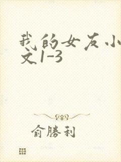 我的女友小洁全文1-3