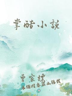 掌酷小说