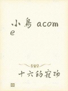 小鸟 acome