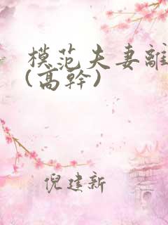 模范夫妻离婚了(高干)