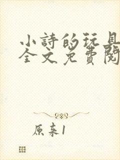 小诗的玩具日记全文免费阅读