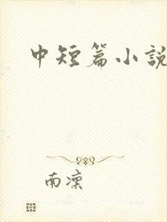 中短篇小说集
