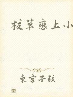 校草恋上小丫头