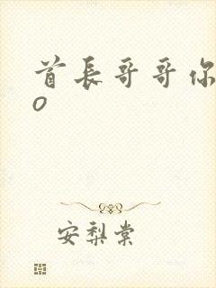 首长哥哥你好po