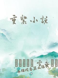 重紫小说