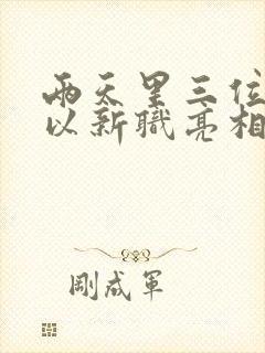 两天里三位将军以新职亮相