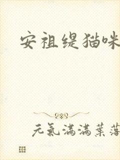 安祖缇猫咪抱抱