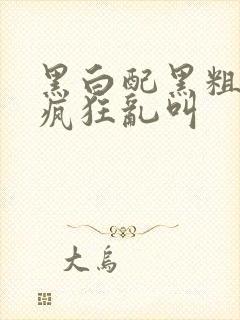 黑白配黑粗硬大疯狂乱叫