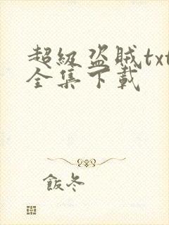 超级盗贼txt全集下载
