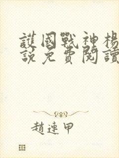 护国战神杨风小说免费阅读