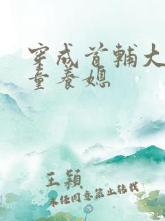 穿成首辅大人的童养媳