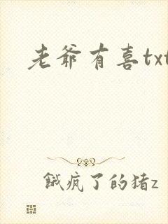 老爷有喜txt