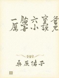 一胎六宝爸比好厉害小说免费阅读