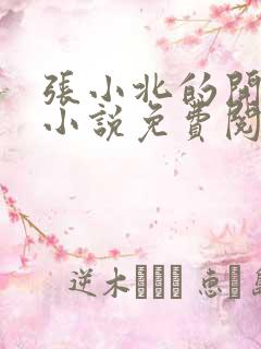 张小北的开光师小说免费阅读怎么没有276章