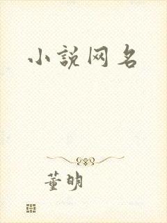 小说网名