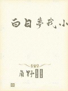 白日梦我小说