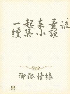 一起来看流星雨续集小说