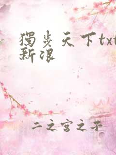 独步天下txt新浪