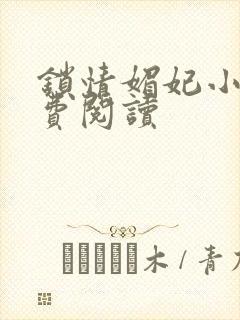 锁情媚妃小说免费阅读