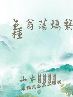 色翁荡熄系列借种