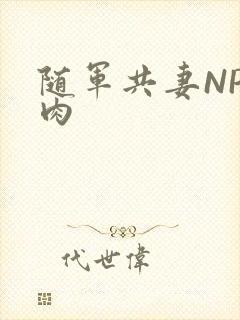 随军共妻NP纯肉