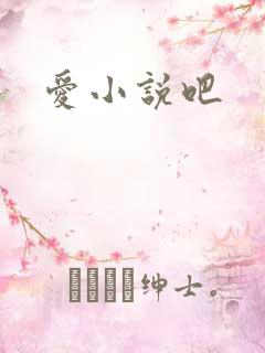 爱小说吧