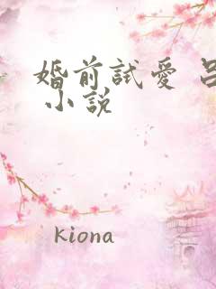 婚前试爱 吕颜 小说