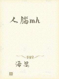 人脑mh