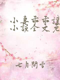 小妻乖乖让我宠小说全文免费阅读