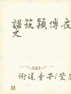 诺筱颖傅夜沉全文