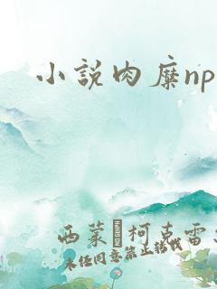小说肉糜np