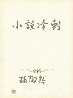 小说冷刺
