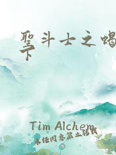 圣斗士之蝎行天下