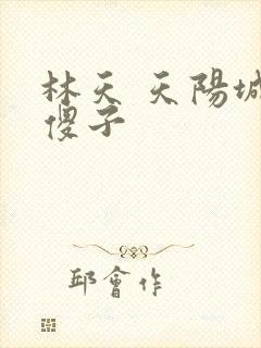 林天 天阳城 傻子