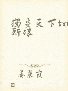 独步天下txt新浪