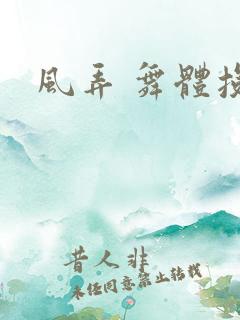风弄 舞体投递