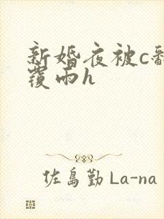 新婚夜被c翻云覆雨h