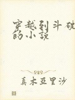 穿越到斗破苍穹的小说
