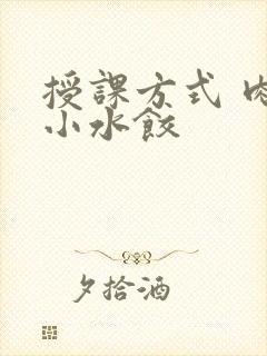 授课方式 肉馅小水饺