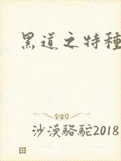 黑道之特种兵王