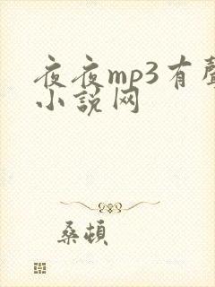 夜夜mp3有声小说网