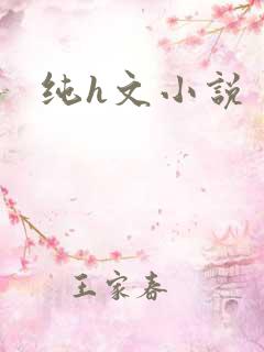 纯h文小说