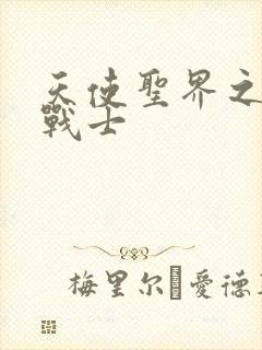 天使圣界之神之战士