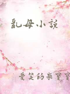 乱母小说