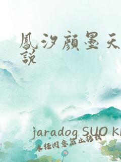 凤汐颜墨天问小说